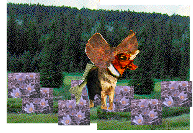 South Dakota digital